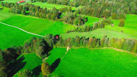 aerial-view-over-green-meadow-and-pasture,-4k