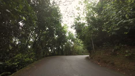 Driving-through-the-national-park-road,-dense-forest,-lush-vegetation-on-Mahe-island,-Seychelles-60-fps-6