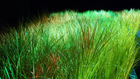 Dunkler-Raum-Mit-Künstlichem,-üppigem-Rasen,-Der-Das-Lichtverhalten-Auf-Gras-Nachbildet