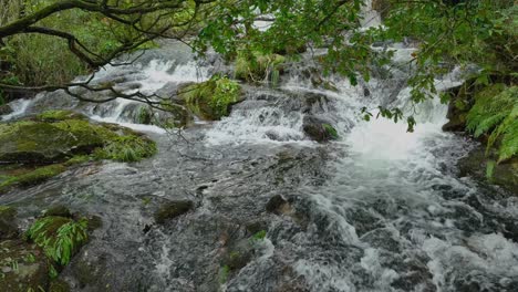Río-Parga-Que-Fluye-Sobre-Rocas-En-La-Selva-Tropical-En-España