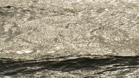 Sunlight-glistens-on-a-rippling-water-surface