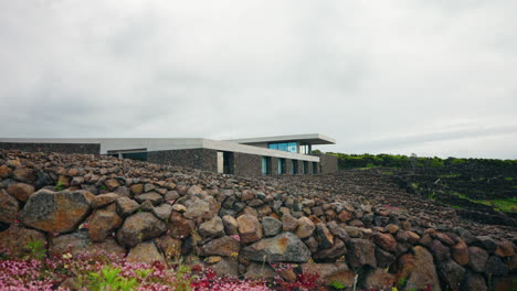 Close-up-shot-of-the-Wine-Company-located-around-the-Lava-rock-for-vineyard-walls-in-the-Azores,-Portugal