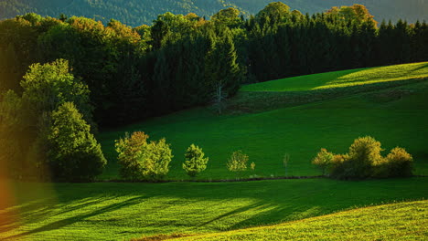 Sunlit-meadow-with-a-forest-backdrop,-Attersee,-Austria,-morning-timelapse