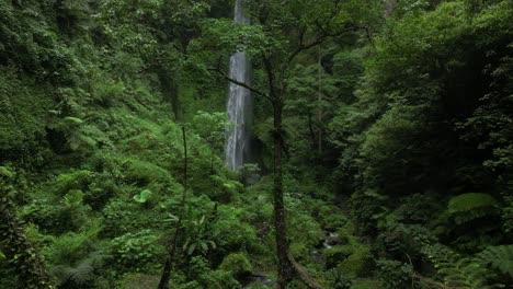 Durch-Dschungelbäume-Zu-Einem-Epischen-Wasserfall-Im-Norden-Von-Bali,-Indonesien,-Schweben