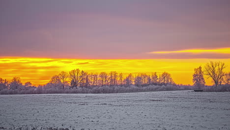 Orangefarbene-Wolken-Im-Goldenen-Himmel-über-Einer-Verschneiten-Landschaft-Mit-Bäumen-Im-Winterzeitraffer