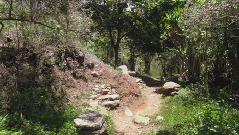 POV-Spaziergang-Auf-Schmalem-Pfad-Im-Tropischen-Regenwald-In-Mittelamerika