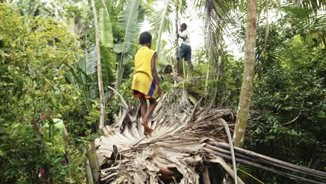 Felices-Niños-Africanos-Trepando-A-Las-Palmeras-Sin-Zapatos-En-La-Selva-Cerca-De-Un-Pequeño-Pueblo-En-Madagascar