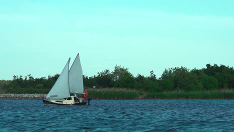 Kleine-Yacht-Segelt-An-Einem-Sonnigen-Tag-Auf-Dem-Wunderschönen-Blauen-Meer-Mit-Bäumen-Im-Hintergrund