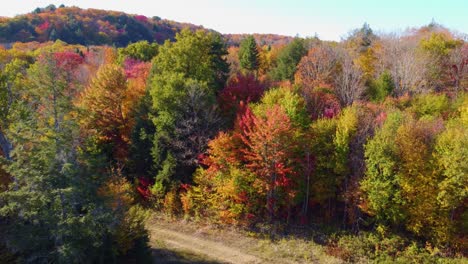 Schönheit-Der-Herbstsaison-Mit-Leuchtenden-Farben-Und-Sonnenschein,-Nahaufnahme-Aus-Der-Luft