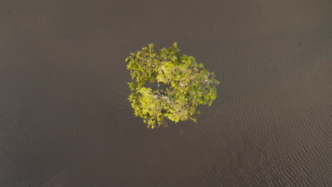 Ascending-tracking-shot,-the-aerial-view-moves-backward,-revealing-an-island-with-bird's-nests-in-the-tranquil-lake