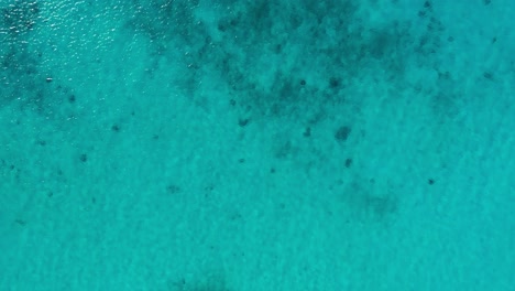 Sandy-bottom-with-reef-in-clear-turquoise-Caribbean-ocean-water-fades-to-dark-blue,-aerial
