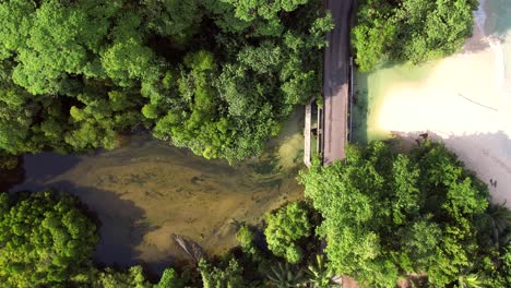 Bird-eye-drone-footage-of-asphalt-road,-passing-vehicles-between-river-and-beach-within-forest,-Mahe,-Seychelles-60-fp