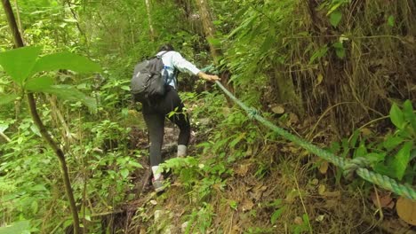 Woman-uses-helpful-rope-on-steep-section-of-lush-green-jungle-hike