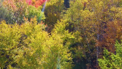 Drohnenansicht-Des-Farbenfrohen,-Lebendigen-Waldes-Und-Eines-Sees-Im-Herbst