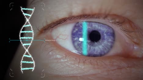 Escaneo-Del-Iris-Del-Ojo-Azul-Para-Una-Autenticación-Biométrica-Segura