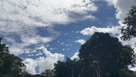 Nubes-Moviéndose-Lentamente-Contra-El-Cielo-Azul-En-Un-Bosque.