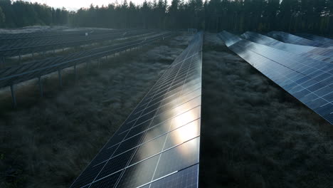 Luftaufnahme,-Rotierend-über-Sonnenlichtkollektor,-Kalt,-Herbstabend-In-Finnland