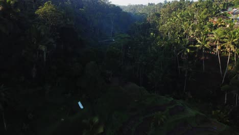 Aerial-view-from-the-beautiful-Tegalalang-Rice-terrace-in-Tegallalang,-Gianyar-overlooking-the-jungle-with-palm-trees-and-other-vegetation-during-an-exciting-trip-through-Bali,-Indonesia