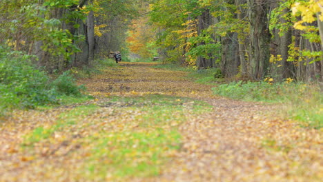 Cyclist-rides-along-a-leaf-covered-path-in-autumn
