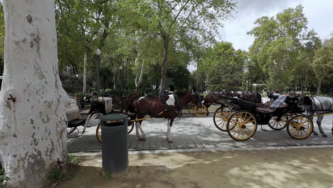 Plaza-de-Espana,-Seville-touristic-horse-carriages-waiting-for-customers