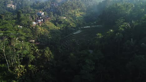Aerial-view-over-the-beautiful-Rice-terraces-of-Tegalalang-with-views-of-dense-jungle-and-old-wooden-buildings-during-an-exciting-journey-through-Tegallalang,-Gianyar-in-Bali
