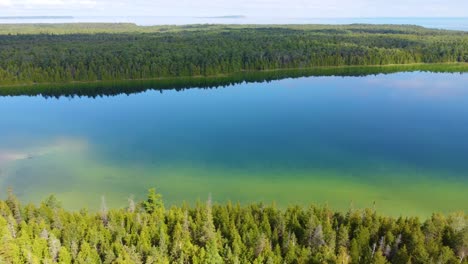 Tree-line-reflecting-on-calm-lake-water,-aerial-drone-view