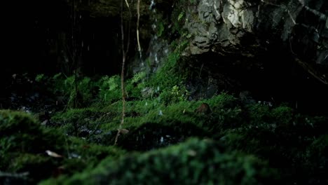 Water-drops-fall-down-a-waterfall-and-land-at-the-bottom-of-a-green-mossy-cave