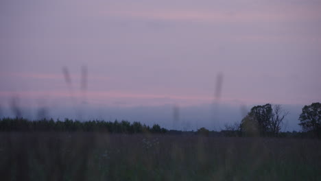 Silhouette-of-mountains-at-twilight-across-the-prairie-field-with-wild-grass-in-the-foreground,-static-low-angle