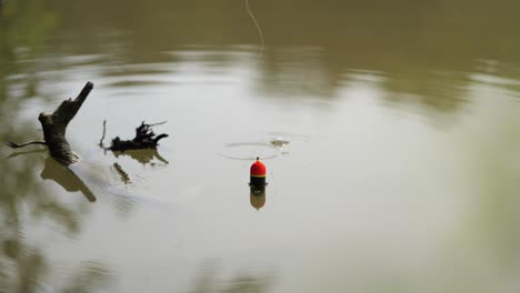 Angler-float-bobber-is-cast-into-murky-lake-and-forms-small-waves