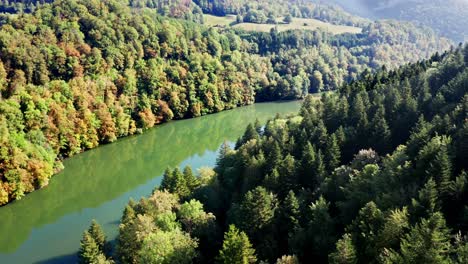 Tranquil-Forest-Landscape-with-Green-Trees-and-Reflecting-Lake,-aerial-drone