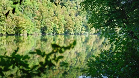 Fokusverschiebung-Auf-Frühherbstwald-In-Verschiedenen-Grüntönen,-Die-Sich-In-Einem-See-Spiegeln