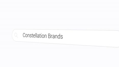 Typing-Constellation-Brands-on-the-Search-Engine