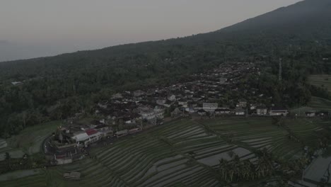 Attraktiver-Ort-Mit-Pedal-Rise-Terrassenfarm-Auf-Bali,-Indonesien.-Die-Drohnenkamera-Bewegt-Sich-In-Richtung-Der-Seite,-Wo-Sich-Große-Berge-Befinden