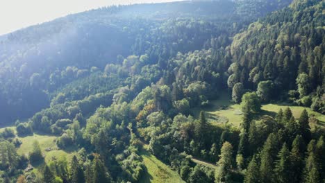Sanfter-Drohnenflug-über-Die-Bewaldeten-Hänge-Einer-Berglandschaft-Mit-Flusslauf