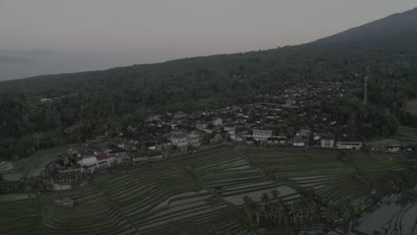 the-tourist-place-in-Bali-Indonesia-drone-Top-angel-shot-bali-going-to-the-side,-many-buildings-are-visible-attractive-place-pedal-rise-terrace-farm