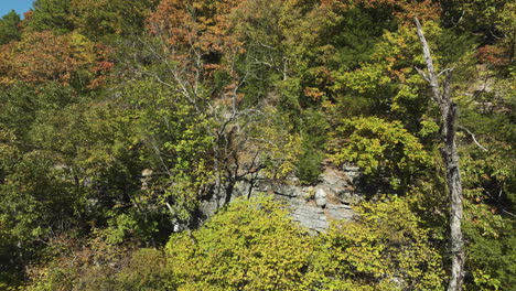 Atemberaubender,-Farbenfroher-Herbst-Im-Unberührten-Eagle-Hollow,-Arkansas