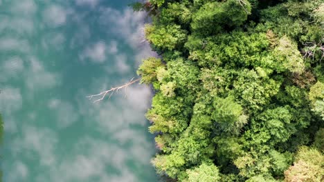 Clouds-reflecting-in-deep-green-blue-river-through-forest-aera,-aerial-drone