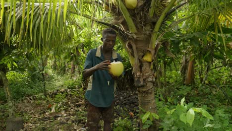 Hombre-Negro-Africano-Bebiendo-Agua-De-Coco-Fresca-Y-Saludable-Dentro-De-Una-Selva-Tropical-Usando-Un-Machete-De-Cuchillo-Grande