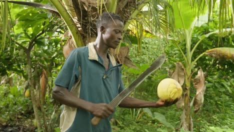 slow-motion-of-black-African-male-cutting-a-coconut-inside-a-jungle-rain-forest-using-big-knife-machete-close-up