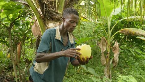 Schwarzafrikanischer-Junger-Mann,-Der-Im-Dschungel-Kokosnusswasser-Schneidet-Und-Trinkt,-Nahaufnahme-In-Zeitlupe
