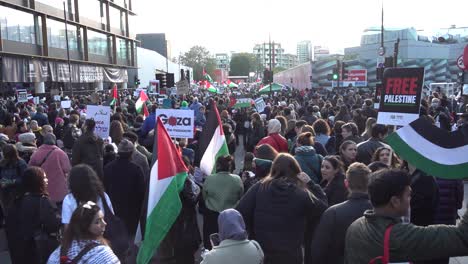 Miles-De-Personas-Se-Reúnen-En-El-Centro-De-Londres-Para-Una-Manifestación-A-Favor-De-Gaza.