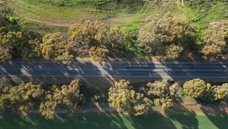 Luftaufnahmen-Von-Oben-Nach-Unten-Auf-Einer-Leeren-Asphaltstraße-In-Einem-Ländlichen-Vorort-Im-Westen-Australiens-An-Einem-Sonnigen-Tag