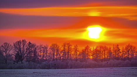 Strahlender-Sonnenaufgangshimmel-über-Winterlichen-Landwirtschaftsfeldern,-Zeitraffer