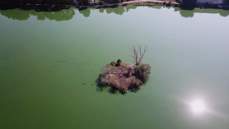 Drohnenaufnahme-Einer-Insel-Am-Mittag-In-Der-Lagune-Von-Axotlan-In-Der-Nähe-Von-Mexiko-Stadt