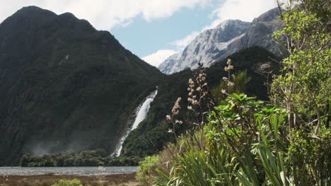 Colossal-waterfall-cascades-down-rugged-Milford-Sound-cliff-face,-grass-sways-gently-in-the-foreground