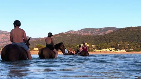 Touristen-Im-Urlaub-Genießen-In-Der-Sommersaison-Auf-Korsika,-Frankreich,-Pferde-Im-Meerwasser-Zu-Reiten