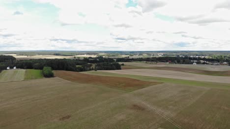 Buckwheat-field-seen-from-high-altitude-drone-flying-backwards-above-the-crop-fields