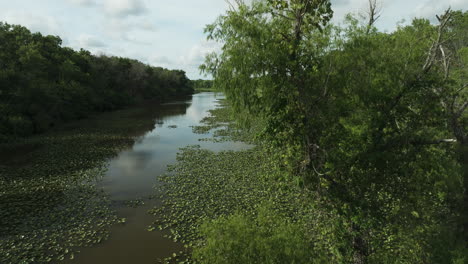 Spile-Lake---Wetland-Habitat-With-Vegetation-In-Osage-Township,-Missouri