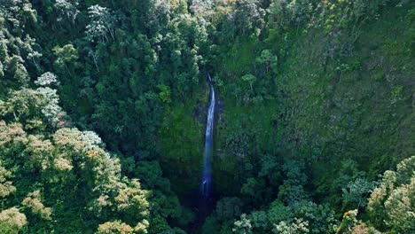 Vorwärtsaufnahme-Eines-Epischen-Wasserfalls,-Der-In-Den-Dschungel-In-Der-Salto-Del-Rodeo-Region-Von-Bonao-In-Der-Dominikanischen-Republik-Fällt