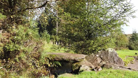 Mann-Geht-über-Eine-Steinbrücke-über-Einen-Bach-Im-Bellever-Forest-Im-Dartmoor-Nationalpark,-Devon,-England